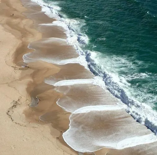 Daire Silver Breezes