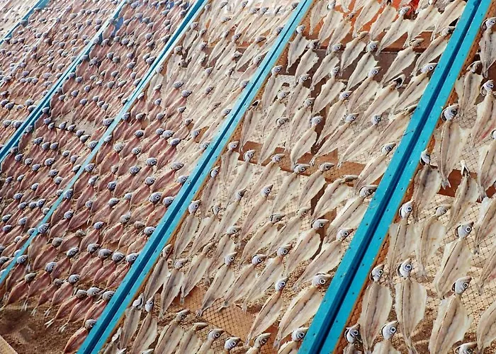 Silver Breezes Daire